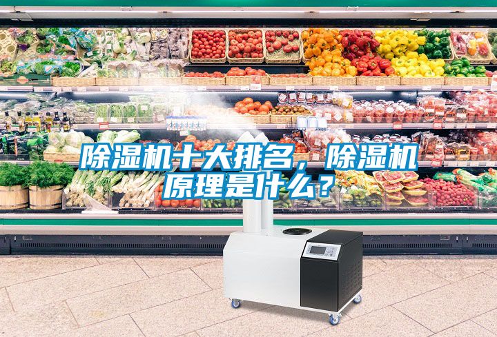 除濕機(jī)十大排名，除濕機(jī)原理是什么？