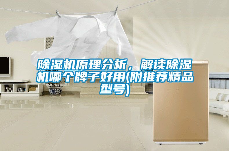 除濕機(jī)原理分析，解讀除濕機(jī)哪個(gè)牌子好用(附推薦精品型號(hào))