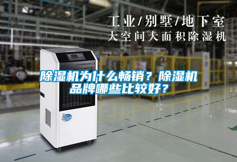 除濕機(jī)為什么暢銷？除濕機(jī)品牌哪些比較好？