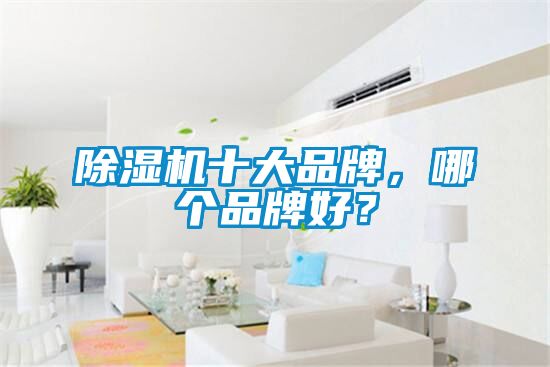 除濕機十大品牌，哪個品牌好？