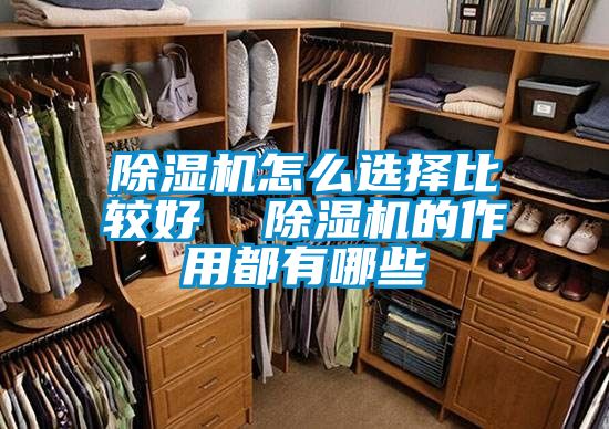 除濕機怎么選擇比較好  除濕機的作用都有哪些