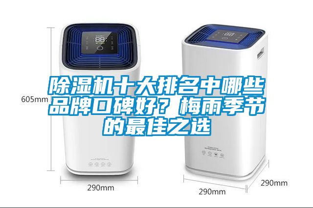 除濕機十大排名中哪些品牌口碑好？梅雨季節(jié)的最佳之選