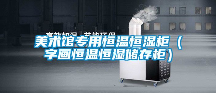 美術(shù)館專用恒溫恒濕柜（字畫恒溫恒濕儲(chǔ)存柜）