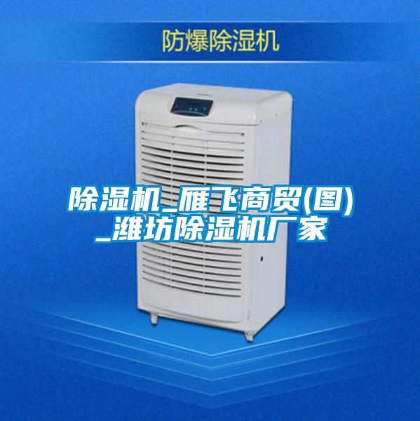 除濕機_雁飛商貿(mào)(圖)_濰坊除濕機廠家