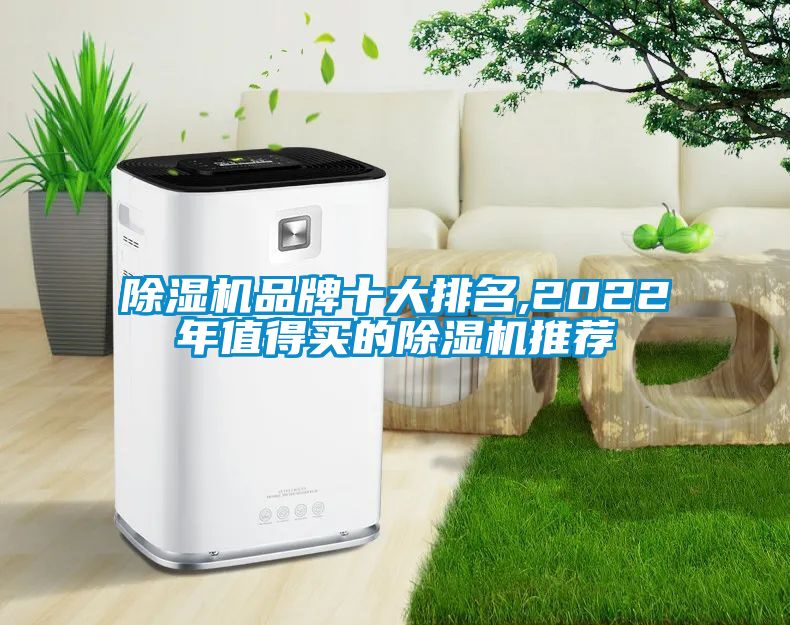 除濕機(jī)品牌十大排名,2022年值得買(mǎi)的除濕機(jī)推薦