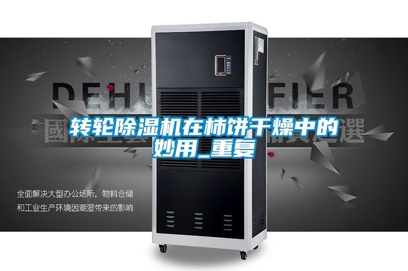 轉(zhuǎn)輪除濕機(jī)在柿餅干燥中的妙用_重復(fù)
