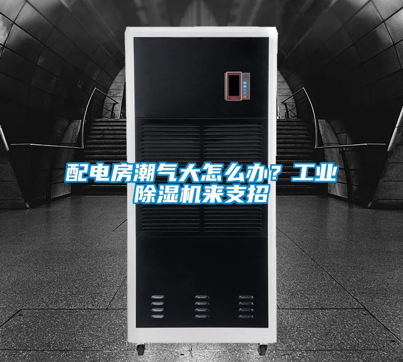 配電房潮氣大怎么辦？工業(yè)除濕機來支招