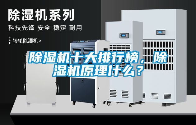 除濕機(jī)十大排行榜，除濕機(jī)原理什么？