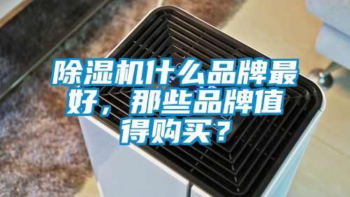 除濕機什么品牌最好，那些品牌值得購買？