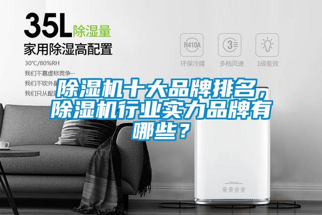 除濕機(jī)十大品牌排名，除濕機(jī)行業(yè)實(shí)力品牌有哪些？