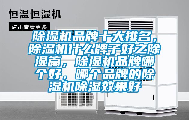 除濕機(jī)品牌十大排名，除濕機(jī)什么牌子好之除濕篇，除濕機(jī)品牌哪個(gè)好，哪個(gè)品牌的除濕機(jī)除濕效果好