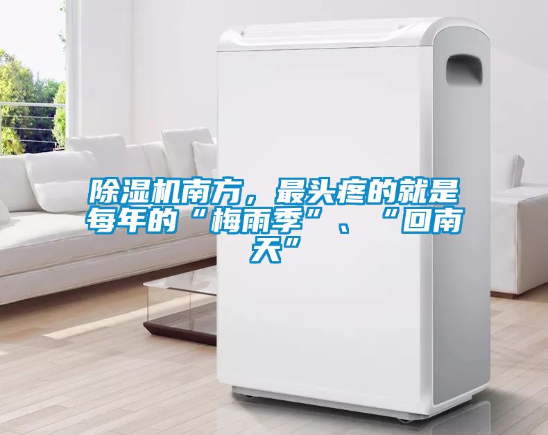 除濕機南方，最頭疼的就是每年的“梅雨季”、“回南天”