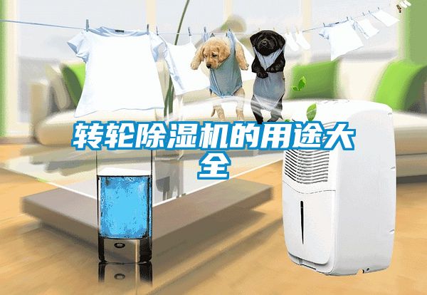 轉(zhuǎn)輪除濕機的用途大全