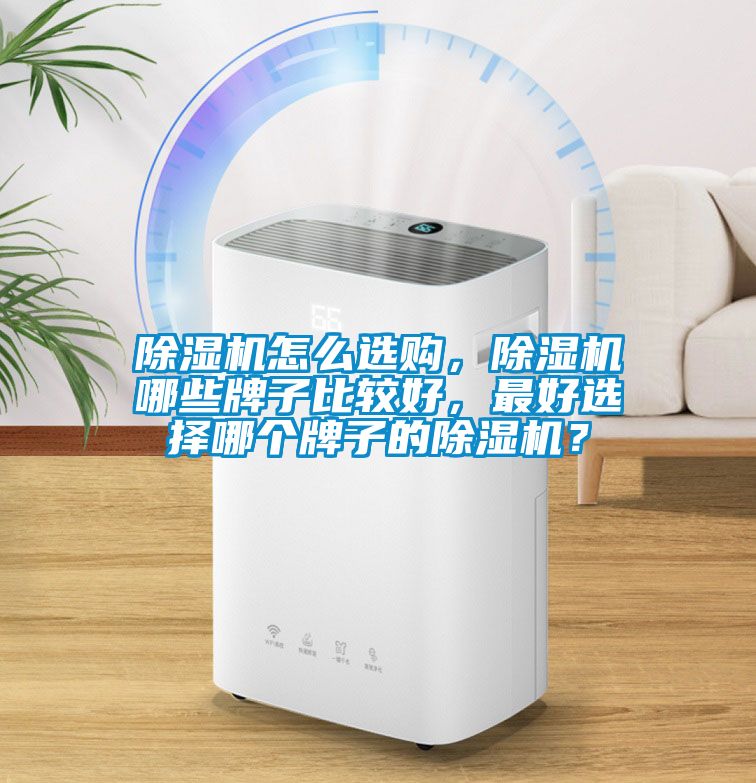 除濕機(jī)怎么選購，除濕機(jī)哪些牌子比較好，最好選擇哪個牌子的除濕機(jī)？