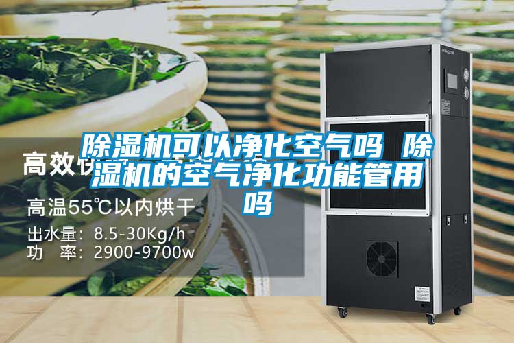 除濕機(jī)可以?xún)艋諝鈫?除濕機(jī)的空氣凈化功能管用嗎