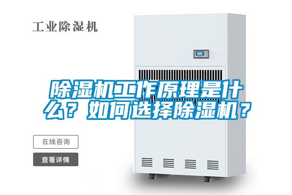 除濕機(jī)工作原理是什么？如何選擇除濕機(jī)？