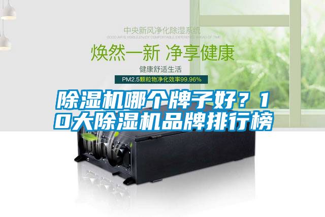除濕機(jī)哪個(gè)牌子好？10大除濕機(jī)品牌排行榜