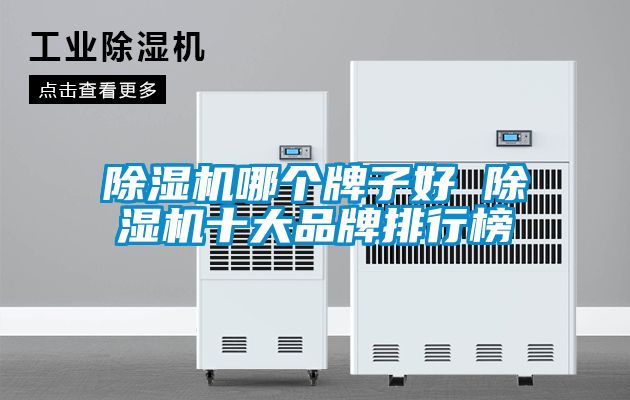 除濕機(jī)哪個(gè)牌子好 除濕機(jī)十大品牌排行榜