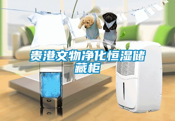 貴港文物凈化恒濕儲(chǔ)藏柜