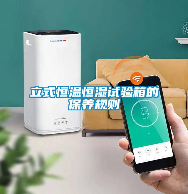 立式恒溫恒濕試驗(yàn)箱的保養(yǎng)規(guī)則