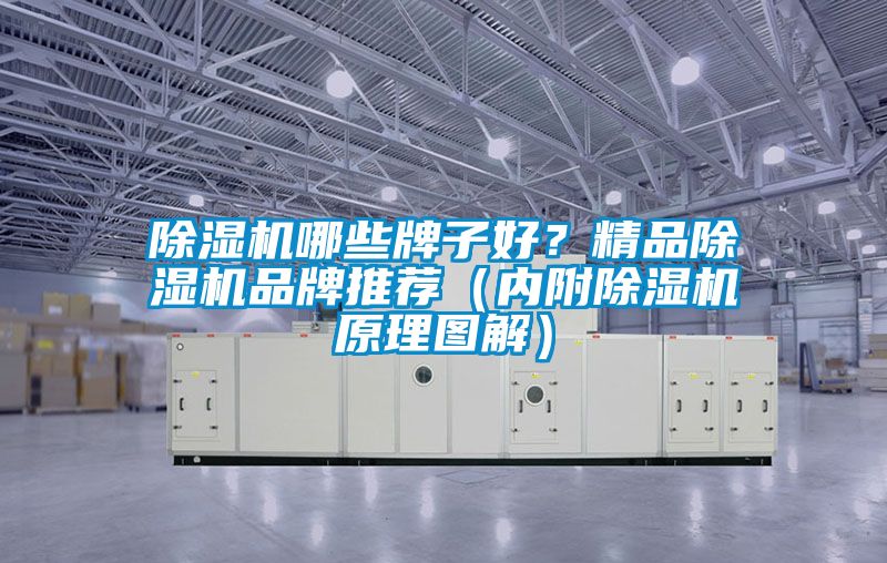 除濕機(jī)哪些牌子好？精品除濕機(jī)品牌推薦（內(nèi)附除濕機(jī)原理圖解）