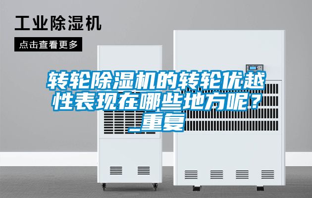 轉(zhuǎn)輪除濕機的轉(zhuǎn)輪優(yōu)越性表現(xiàn)在哪些地方呢？_重復(fù)