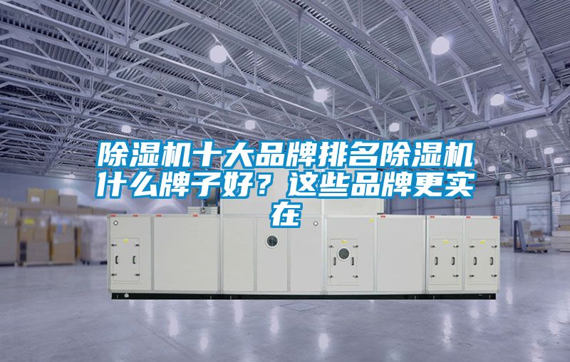 除濕機(jī)十大品牌排名除濕機(jī)什么牌子好？這些品牌更實(shí)在