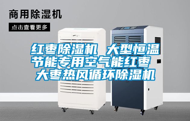 紅棗除濕機(jī) 大型恒溫節(jié)能專用空氣能紅棗 大棗熱風(fēng)循環(huán)除濕機(jī)