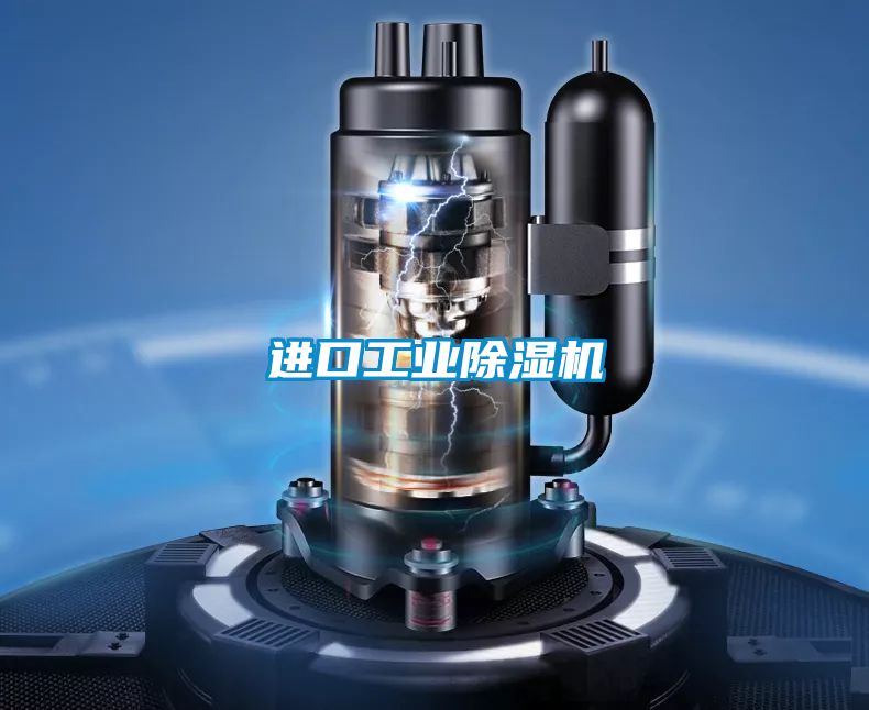進(jìn)口工業(yè)除濕機(jī)