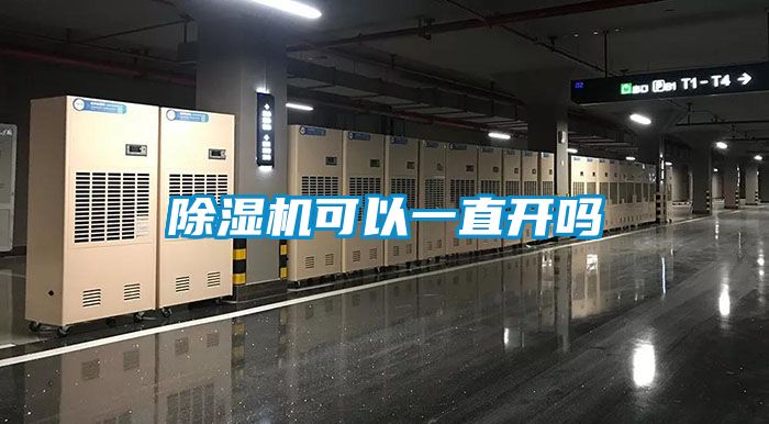 除濕機(jī)可以一直開(kāi)嗎