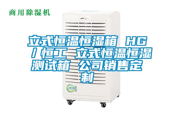 立式恒溫恒濕箱 HG／恒工 立式恒溫恒濕測(cè)試箱 公司銷售定制