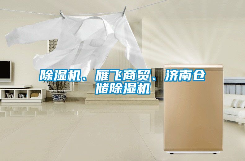 除濕機、雁飛商貿、濟南倉儲除濕機