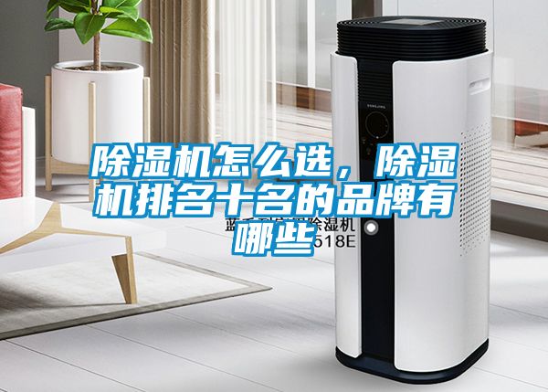 除濕機(jī)怎么選，除濕機(jī)排名十名的品牌有哪些