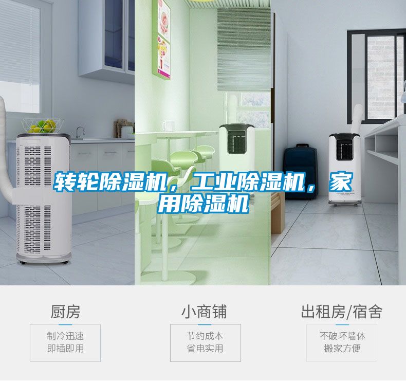 轉(zhuǎn)輪除濕機，工業(yè)除濕機，家用除濕機