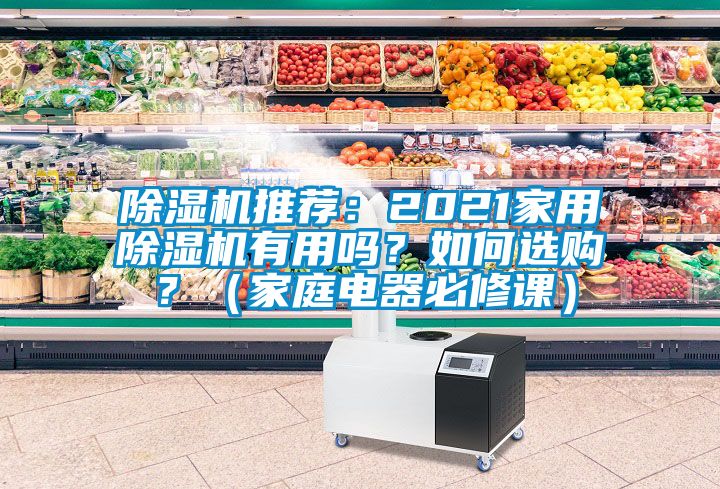 除濕機推薦：2021家用除濕機有用嗎？如何選購？（家庭電器必修課）