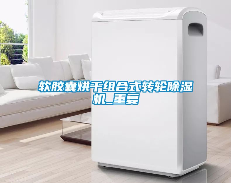 軟膠囊烘干組合式轉(zhuǎn)輪除濕機_重復