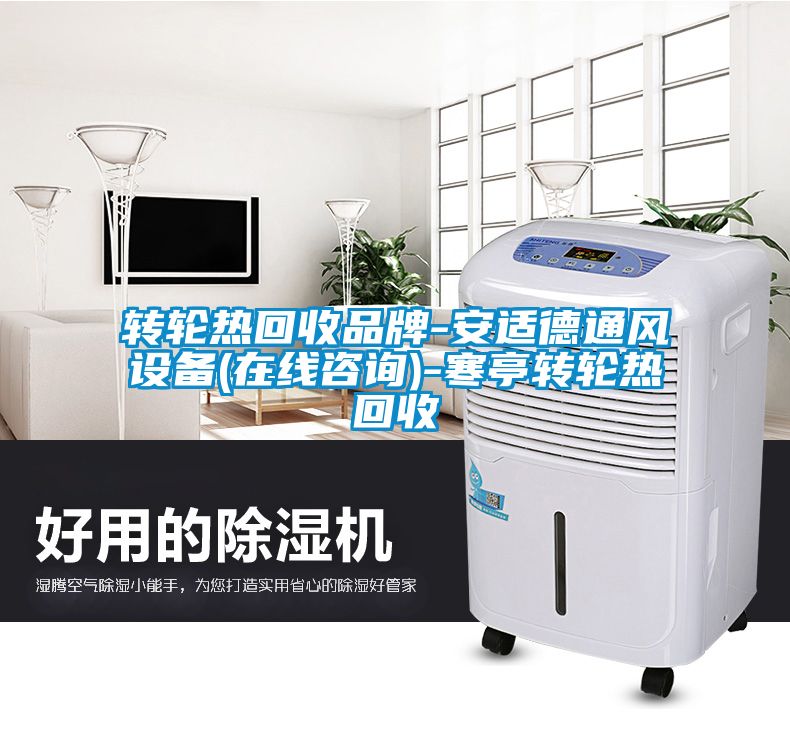 轉(zhuǎn)輪熱回收品牌-安適德通風設備(在線咨詢)-寒亭轉(zhuǎn)輪熱回收