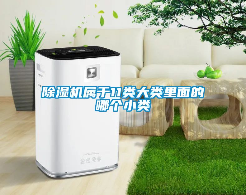 除濕機屬于11類大類里面的哪個小類
