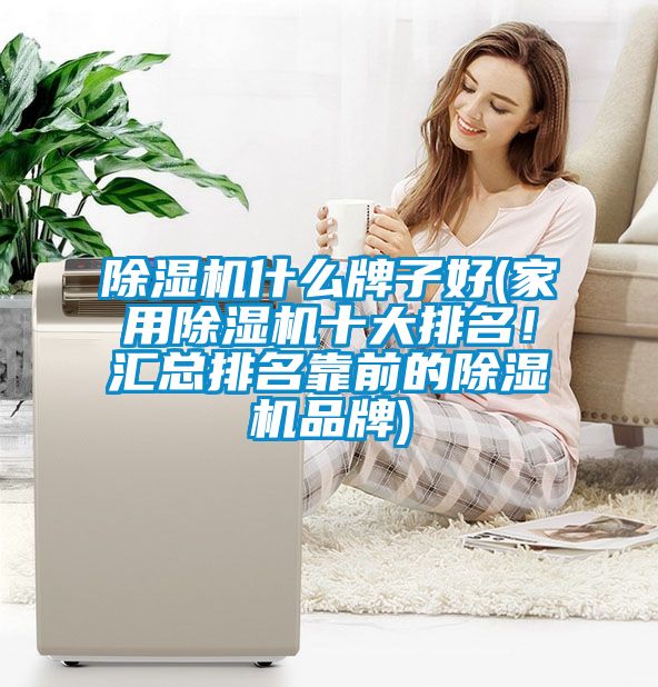 除濕機(jī)什么牌子好(家用除濕機(jī)十大排名！匯總排名靠前的除濕機(jī)品牌)