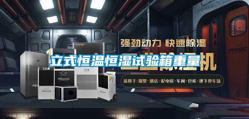 立式恒溫恒濕試驗(yàn)箱重量