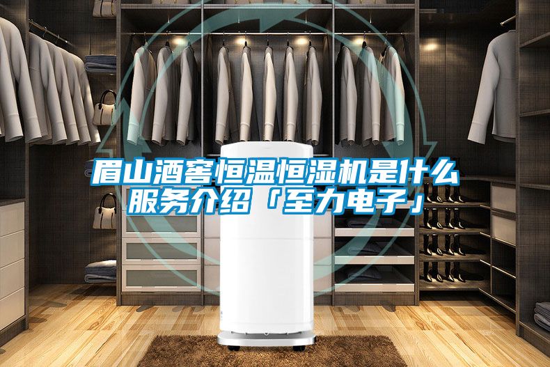 眉山酒窖恒溫恒濕機(jī)是什么服務(wù)介紹「至力電子」