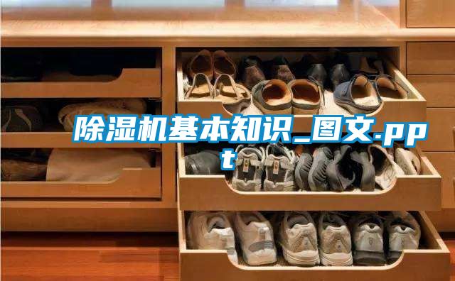 除濕機(jī)基本知識(shí)_圖文.ppt