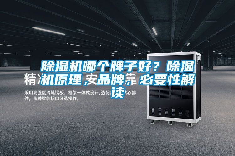 除濕機哪個牌子好？除濕機原理，品牌，必要性解讀