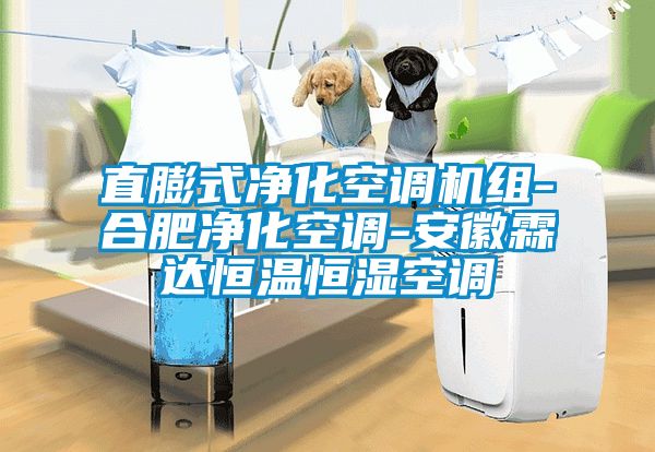 直膨式凈化空調(diào)機(jī)組-合肥凈化空調(diào)-安徽霖達(dá)恒溫恒濕空調(diào)