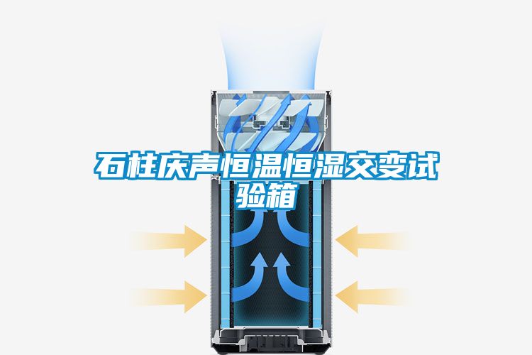 石柱慶聲恒溫恒濕交變試驗(yàn)箱