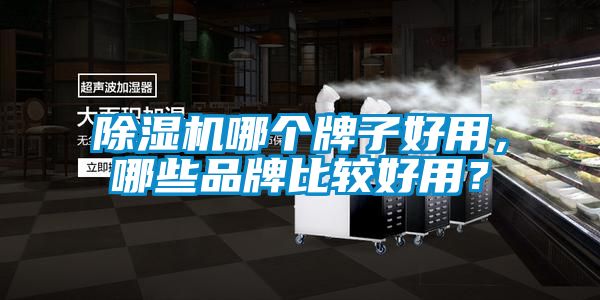 除濕機哪個牌子好用，哪些品牌比較好用？