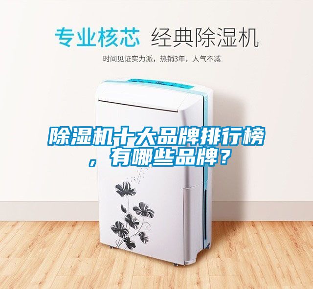 除濕機十大品牌排行榜，有哪些品牌？