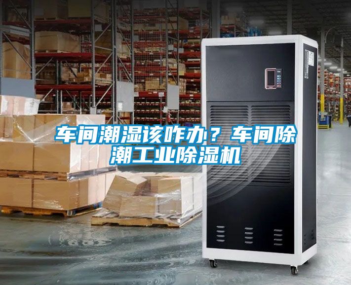 車間潮濕該咋辦？車間除潮工業(yè)除濕機(jī)