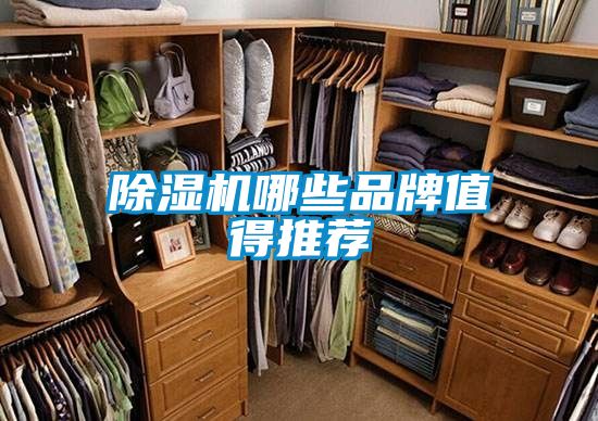 除濕機哪些品牌值得推薦