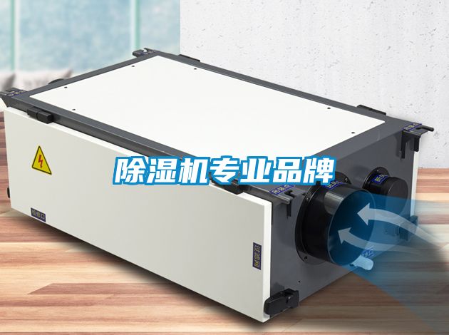 除濕機(jī)專業(yè)品牌